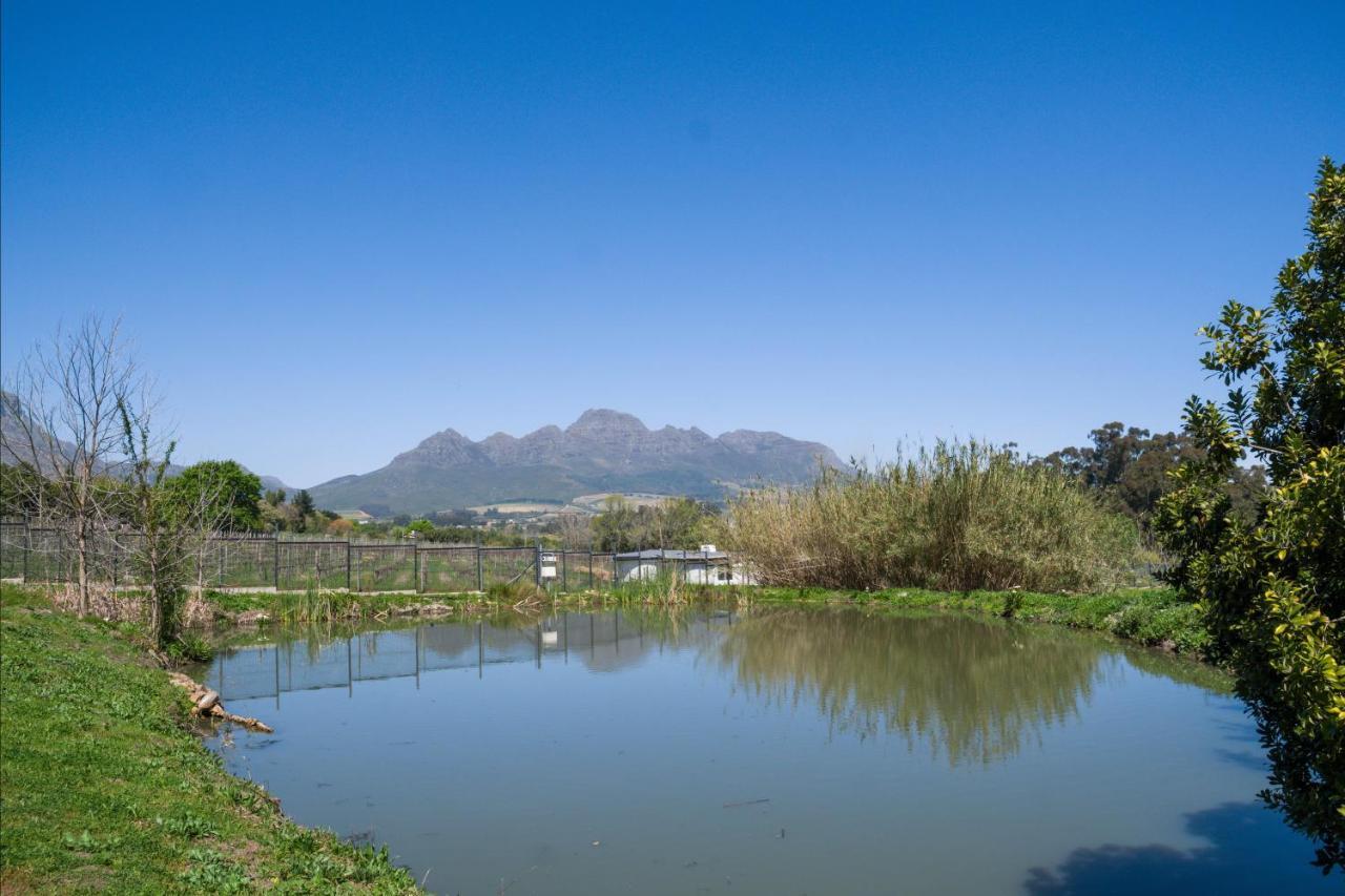 Vila Sunset Farm Stellenbosch Exteriér fotografie