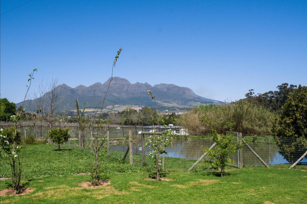 Vila Sunset Farm Stellenbosch Exteriér fotografie